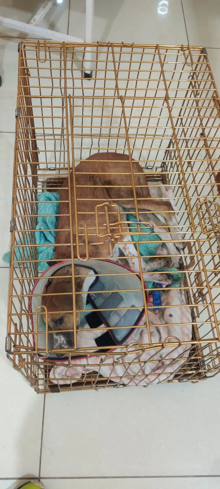 Rescue